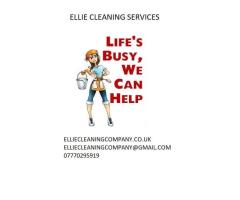 Cleaning Service