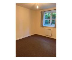 1bed flat do wynajecia Southampton - Image 2