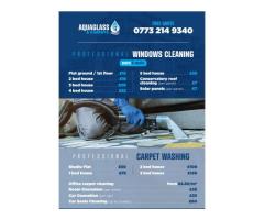 Windows @ carpet cleaning