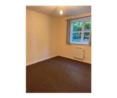 1bed Flat do wynajecia - Image 3