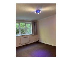 1bed Flat do wynajecia - Image 4