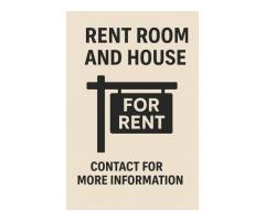 Mieszkania pokoje do wynajęcia