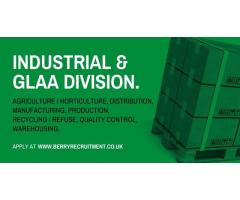 Szukasz pracy zadzwon - Image 5