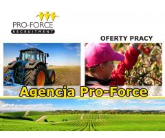 Agencja Pro Force , 15 College Place , SO15 2FE