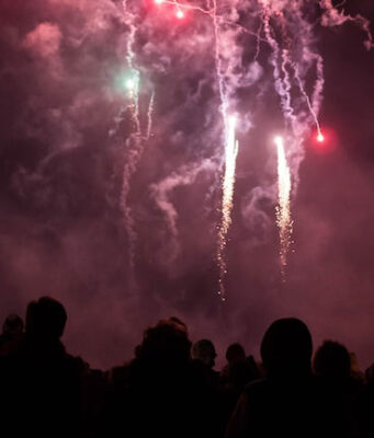 Fajerwerki: właściciele proszą o środki uspokajające na Bonfire Night