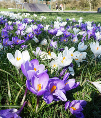 Temperatury w Wielkiej Brytanii wzrosną nawet do 14°C