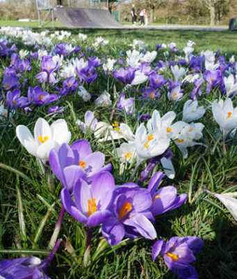 UK: Słońce i ciepło powrócą na Dzień Matki i w przyszłym tygodniu