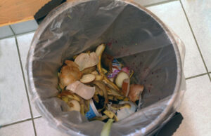 W Anglii zaczynają obowiązywać nowe przepisy dotyczące pojemników na śmieci, ale nie wszystkie rady są na to gotowe